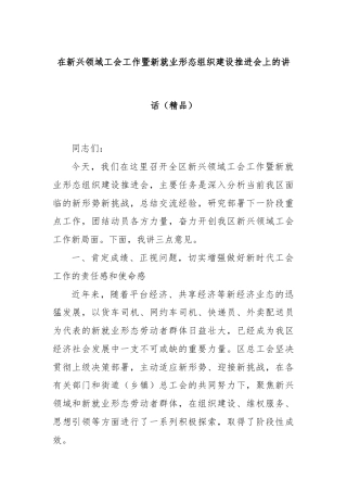 在新兴领域工会工作暨新就业形态组织建设推进会上的讲话（精品）