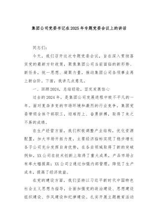 集团公司党委书记在2025年专题党委会议上的讲话