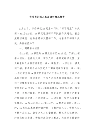 市委书记深入基层调研情况报告