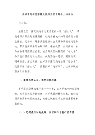县城管局在夏季露天烧烤治理专题会上的讲话