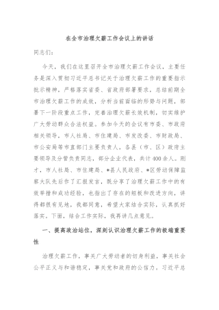 在全市治理欠薪工作会议上的讲话