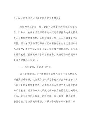 人大副主任工作总结（提交职级晋升考察组）