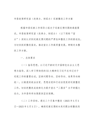 市委政策研究室（改革办、财经办）巡察整改工作方案