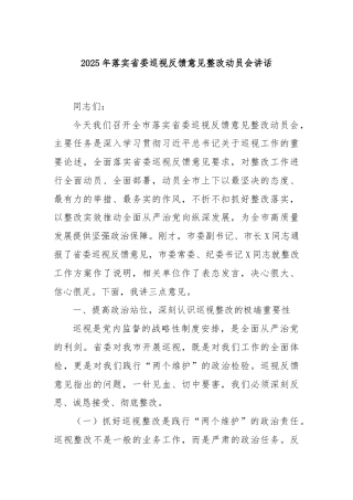 2025年落实省委巡视反馈意见整改动员会讲话