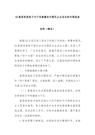 XX集团党委班子关于巡察整改专题民主生活会的对照检查材料（精品）