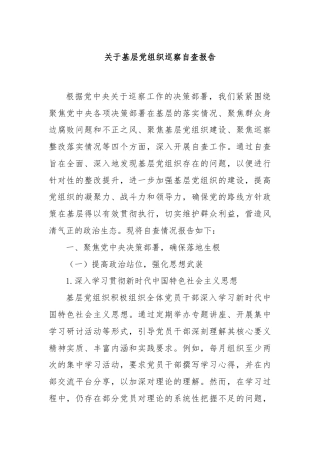 关于基层党组织巡察自查报告