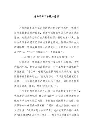青年干部下乡锻炼感悟