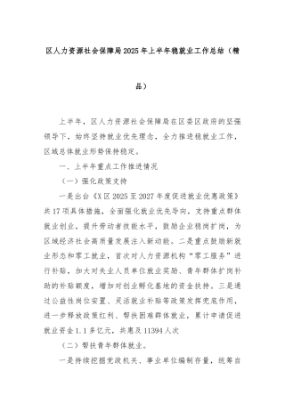 区人力资源社会保障局2025年上半年稳就业工作总结（精品）