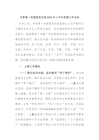 市委第一巡视组党支部2025年上半年党建工作总结