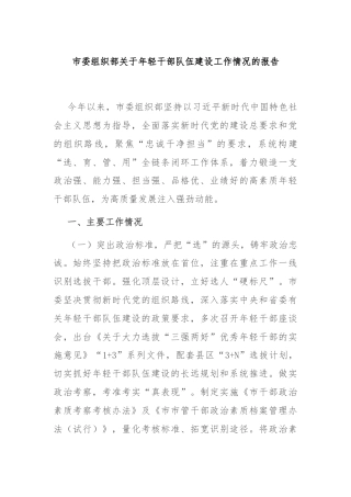 市委组织部关于年轻干部队伍建设工作情况的报告