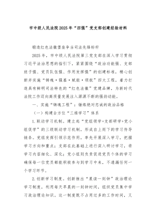 市中级人民法院2025年“四强”党支部创建经验材料