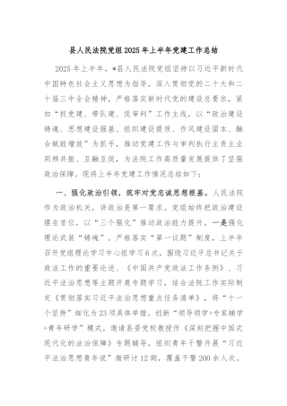 县人民法院党组2025年上半年党建工作总结