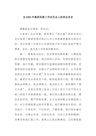 在2025年集团巡察工作动员会上的表态发言