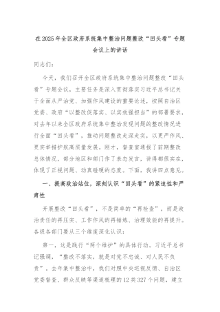 在2025年全区政府系统集中整治问题整改“回头看”专题会议上的讲话