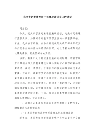 在全市新提拔处级干部廉政谈话会上的讲话