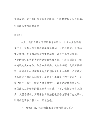 交流发言：践行新时代党的组织路线，不断筑牢政法队伍根基，引领政法开启崭新篇章