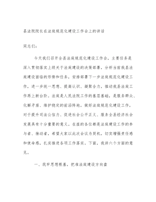 县法院院长在法庭规范化建设工作会上的讲话