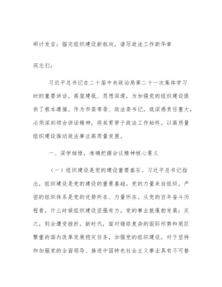 研讨发言：锚定组织建设新航向，谱写政法工作新华章