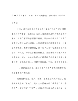 在XX乡农村集体“三资”审计问题整改工作部署会上的讲话