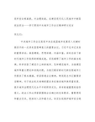 筑牢安全根基提，升治理效能，在建设现代化人民城市中彰显政法担当——学习贯彻中央城市工作会议精神研讨发言