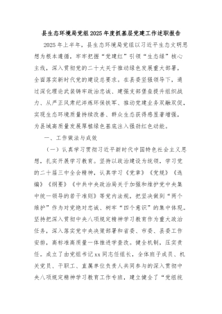 县生态环境局党组2025年度抓基层党建工作述职报告