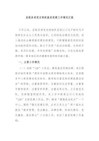 县税务局党支部抓基层党建工作情况汇报