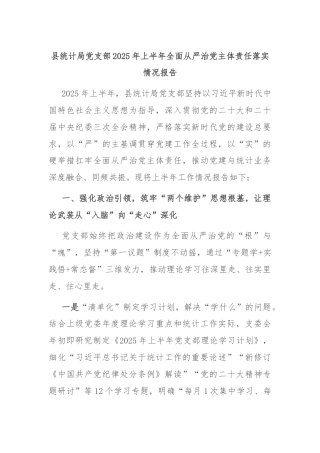县统计局党支部2025年上半年全面从严治党主体责任落实情况报告