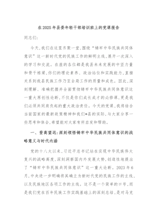 在2025年县委年轻干部培训班上的党课报告