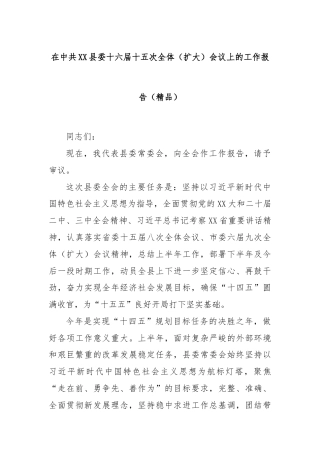 在中共XX县委十六届十五次全体（扩大）会议上的工作报告（精品）