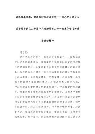 铸魂强基固本，锻造新时代政法铁军——深入学习领会总书记在二十届中央政治局第二十一次集体学习时重要讲话精神