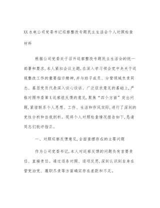 XX水电公司党委书记巡察整改专题民主生活会个人对照检查材料