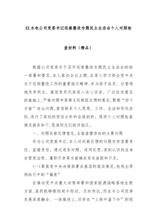 XX水电公司党委书记巡察整改专题民主生活会个人对照检查材料（精品）