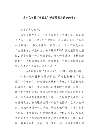 某乡在全县“十五五”规划编制座谈会的发言