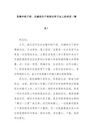 某镇年轻干部、关键岗位干部培训学习会上的讲话（精品）