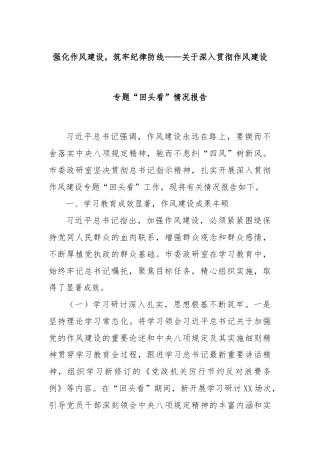 强化作风建设，筑牢纪律防线——关于深入贯彻作风建设专题“回头看”情况报告