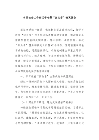 市委社会工作部关于专题“回头看”情况报告