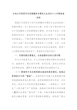 水电公司党委书记巡察整改专题民主生活会个人对照检查材料