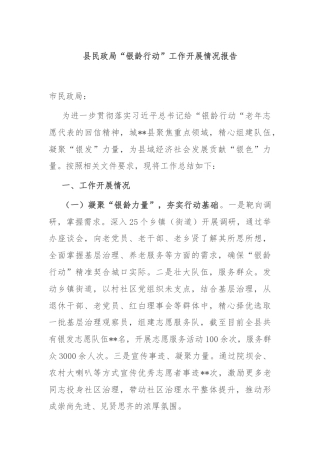 县民政局“银龄行动”工作开展情况报告