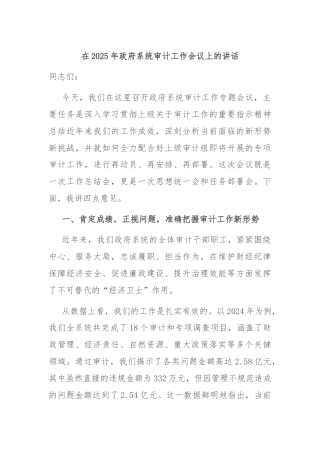 在2025年政府系统审计工作会议上的讲话