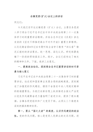 在镇党委(扩大)会议上的讲话