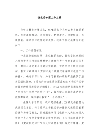 镇党委专题工作总结