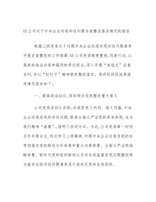 XX公司关于中央企业巡视共性问题自查整改落实情况的报告