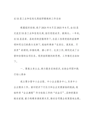在XX县工业和信息化局挂职锻炼的工作总结