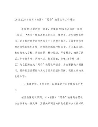 XX镇2025年度村（社区）“两委”换届选举工作总结