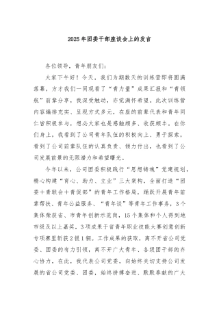 2025年团委干部座谈会上的发言