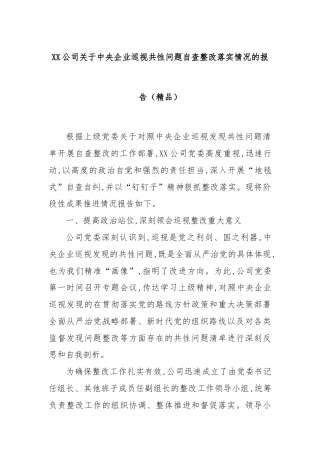 XX公司关于中央企业巡视共性问题自查整改落实情况的报告（精品）