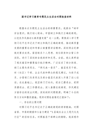 副书记学习教育专题民主生活会对照检查材料