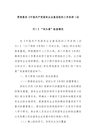 贯彻落实《中国共产党国有企业基层组织工作条例（试行）》“回头看”检查情况