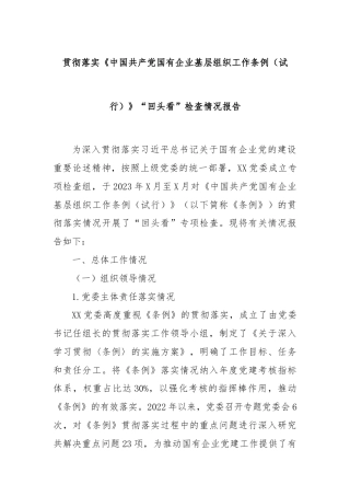贯彻落实《中国共产党国有企业基层组织工作条例（试行）》“回头看”检查情况报告