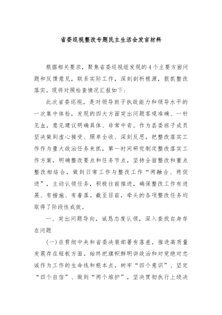 省委巡视整改专题民主生活会发言材料